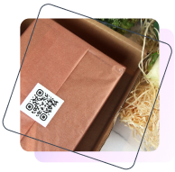 Product Information and Reviews